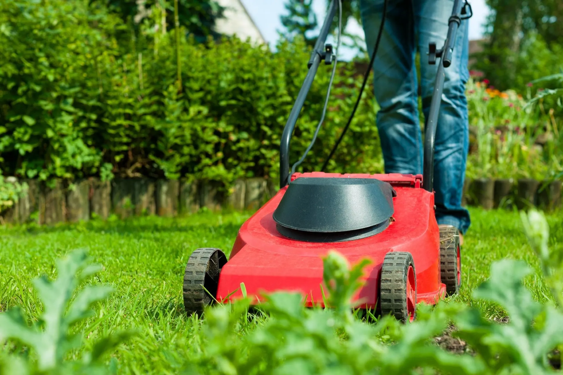 ride on mowers brisbane